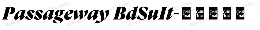 Passageway BdSuIt字体转换